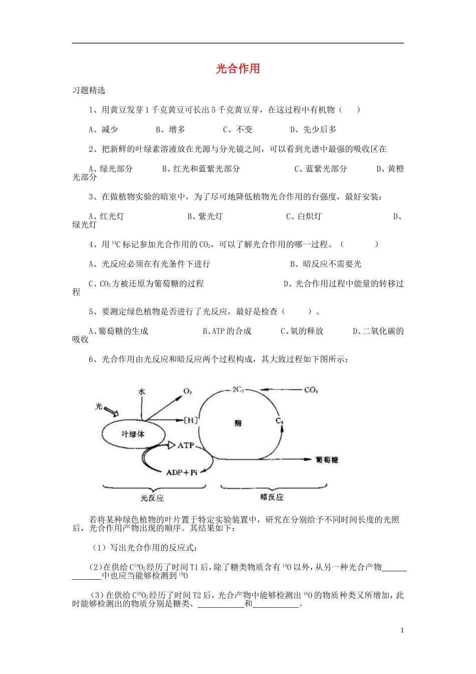 高中生物《光合作用》同步练习1-浙教版必修1_第1页