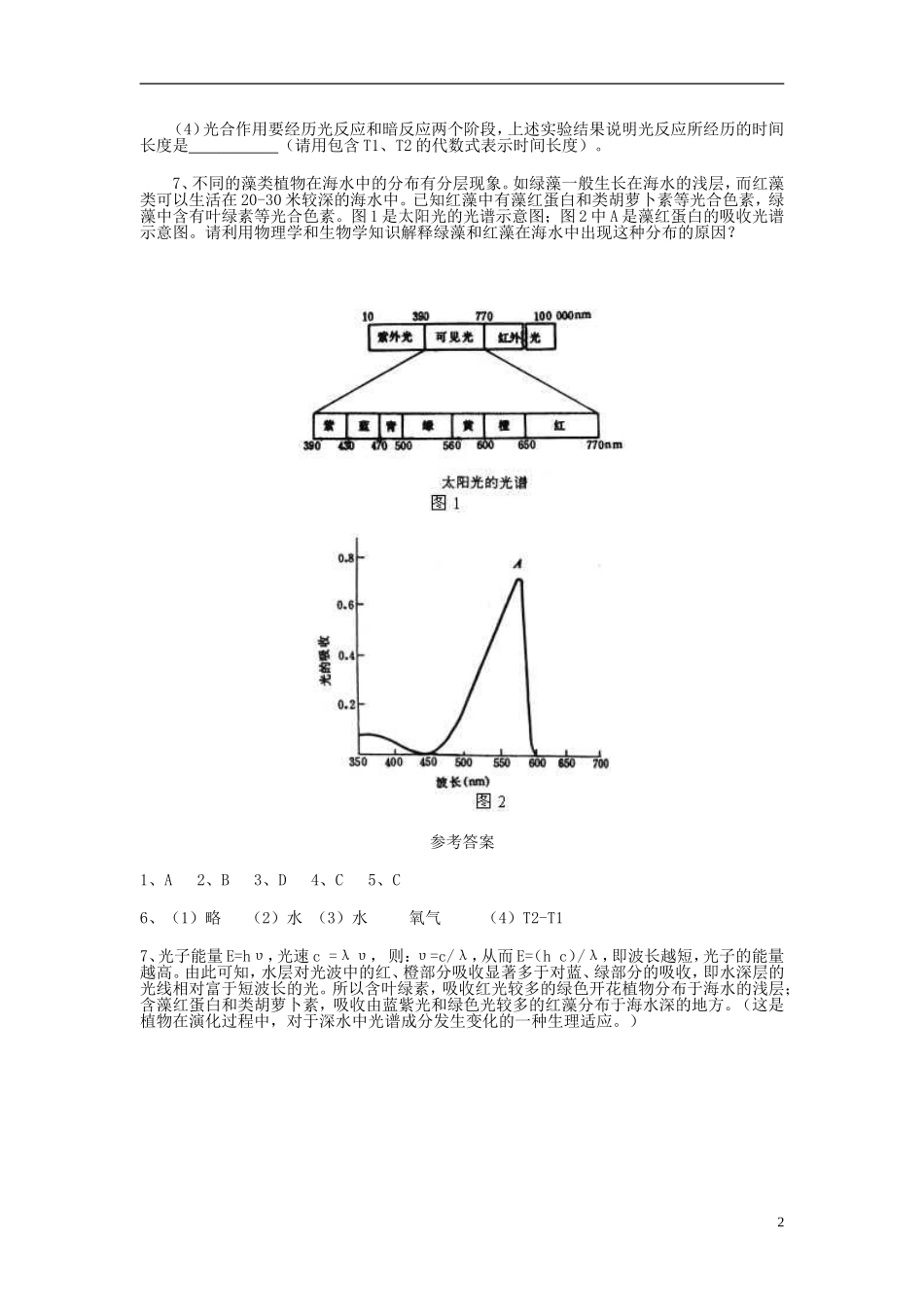 高中生物《光合作用》同步练习1-浙教版必修1_第2页
