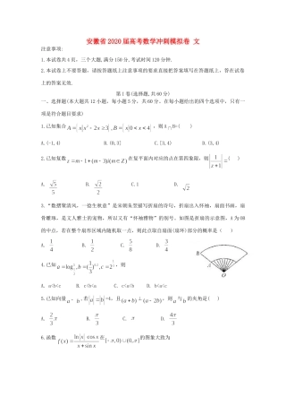 安徽省高考数学冲刺模拟卷 文试卷