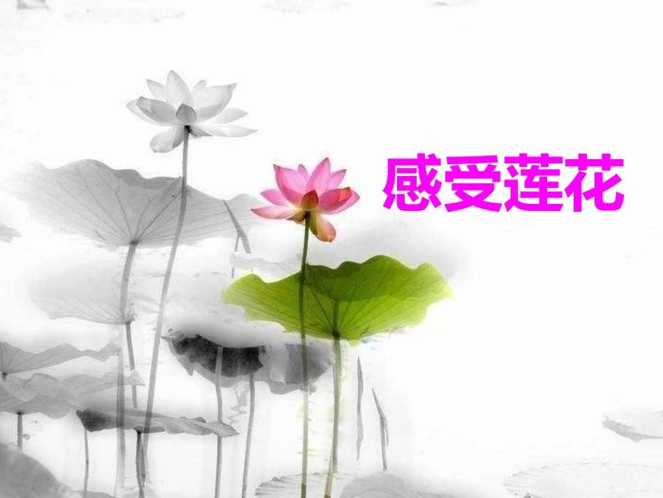 (部编)初中语文人教2011课标版七年级下册《爱莲说》PPT-(2)_第2页