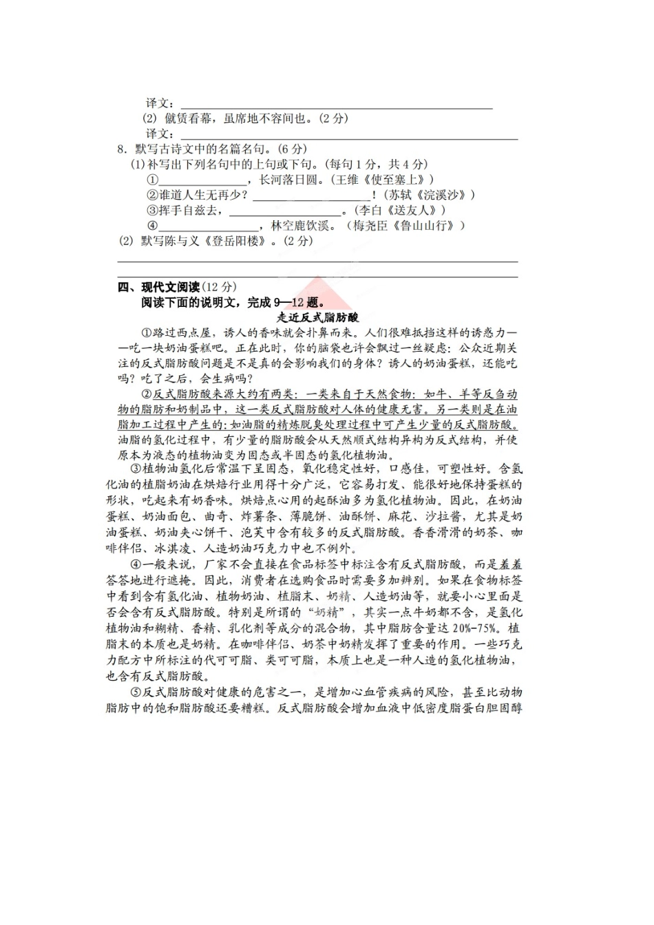 四川省望子成龙学校八年级语文上学期期末考试试卷 新人教版试卷_第3页