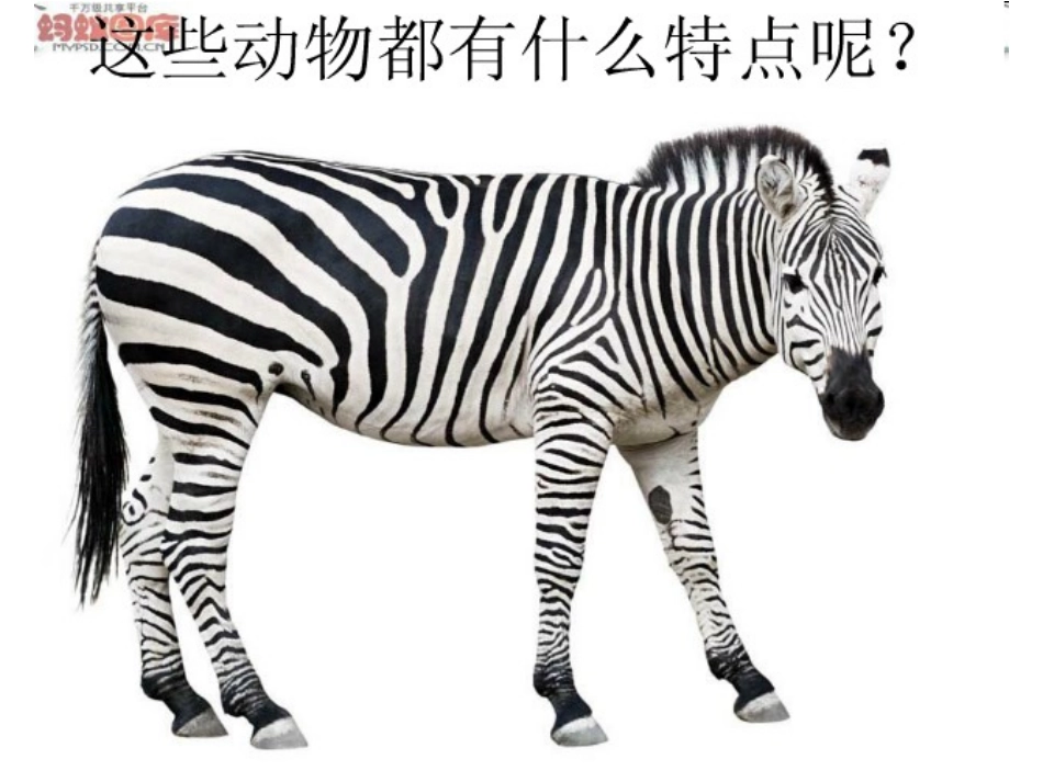 9.变照片为黑白的画_第1页