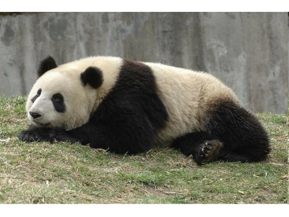 9.变照片为黑白的画_第2页