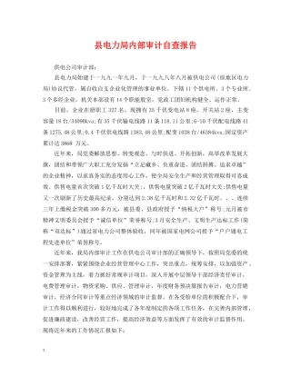 县电力局内部审计自查报告 