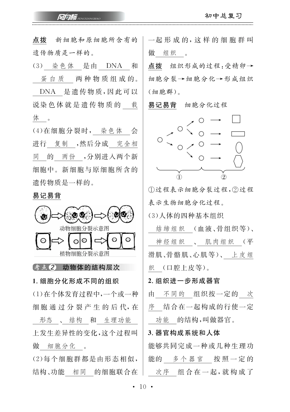 中考生物总复习 第二部分 生物体的结构层次 专题四 多细胞生物体的结构层次知识梳理(pdf)试卷_第1页