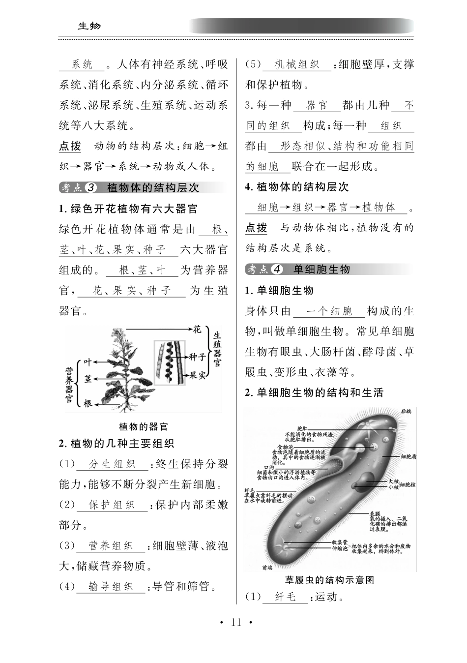 中考生物总复习 第二部分 生物体的结构层次 专题四 多细胞生物体的结构层次知识梳理(pdf)试卷_第2页