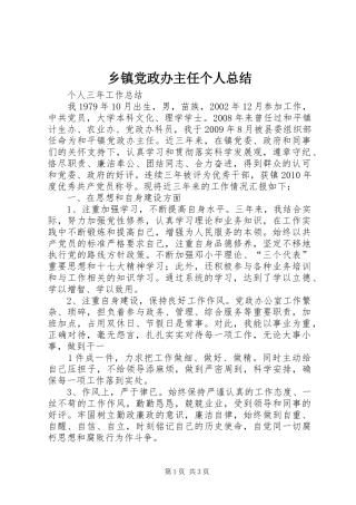 乡镇党政办主任个人总结 