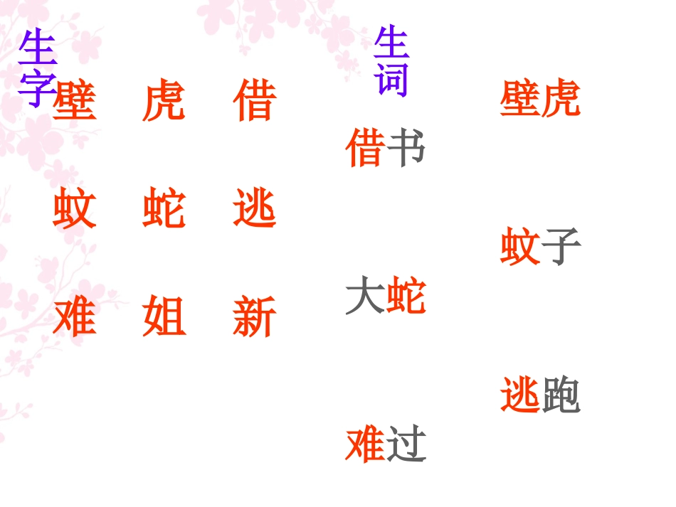小壁虎借尾巴-公开课ppt_第2页