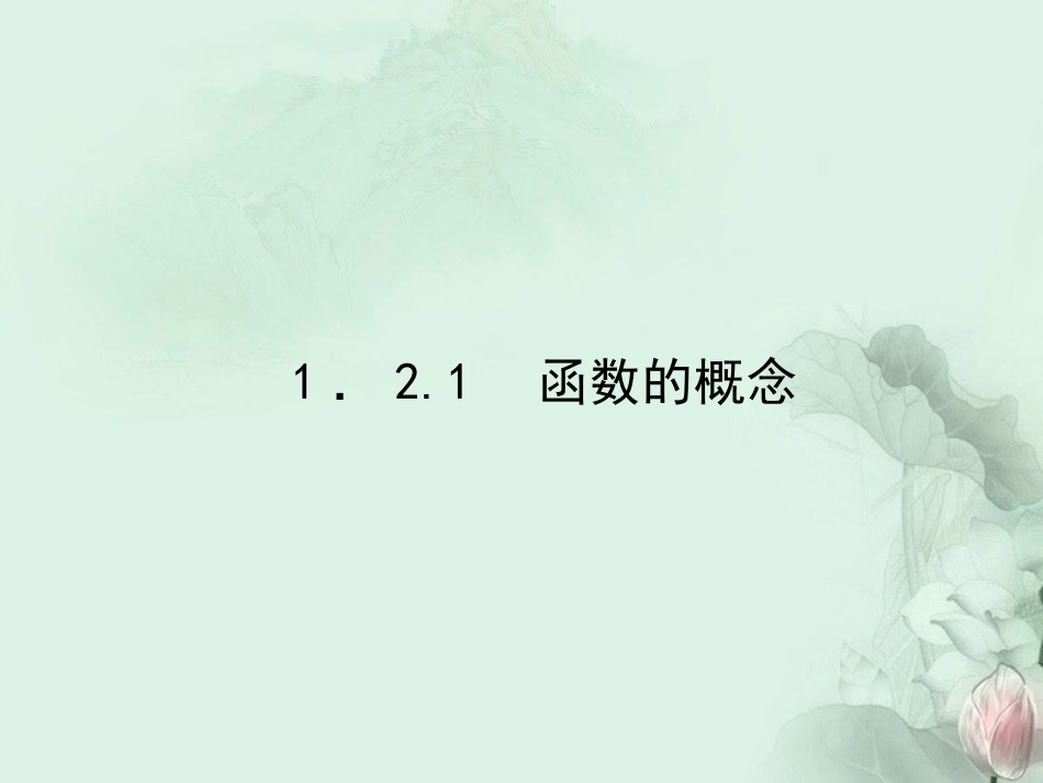 (新课程)高中数学《1.2.1函数的概念》课件-新人教A版必修1_第2页
