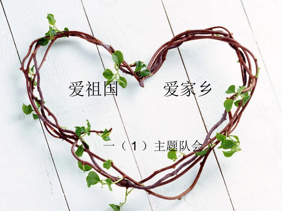 一(1)中队主题班会_第1页