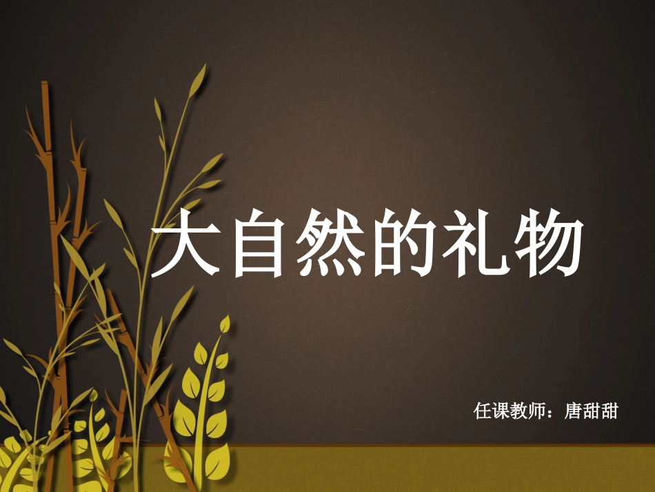 16.大自然的礼物——草编(辽宁)_第1页