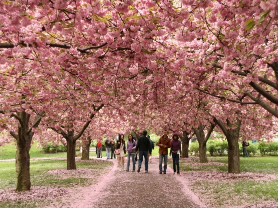 作业：历史九年级上册第4课亚洲的封建国家_第3页