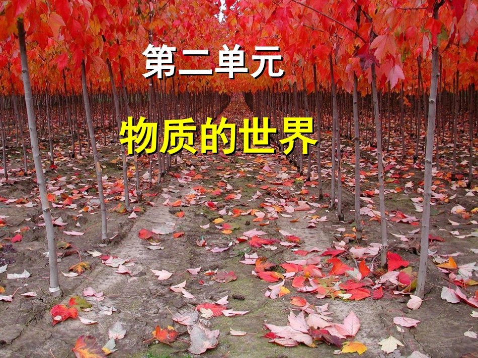 第2单元物质的世界_第1页