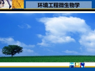 环境微生物学--任务一---单元五-活性污泥的驯化