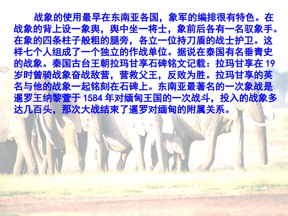 最后一头战象1_第2页