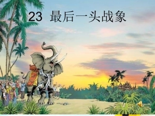 最后一头战象1