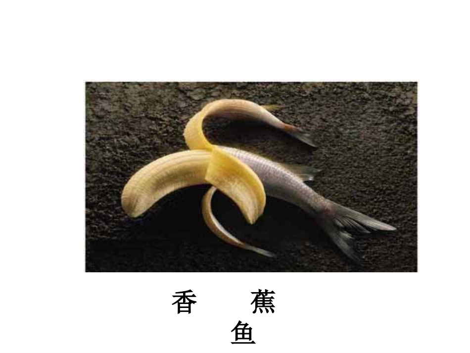 第一节工具酶的发现和基因工程的诞生-(2)_第1页