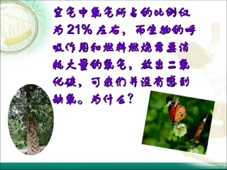 绿色植物与生物圈中的碳——氧平衡(第一课时)