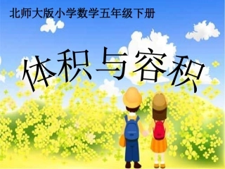 339体积与容积课件