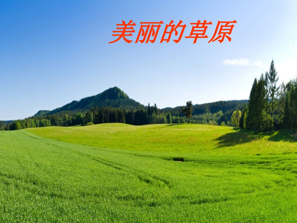 5.美丽的草原(吉林)_第1页