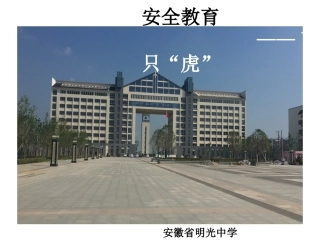 预防和应对意外道路交通伤害事故