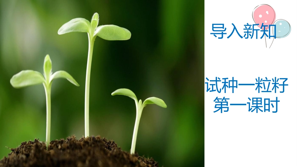 4-试种一粒籽-(2)_第2页