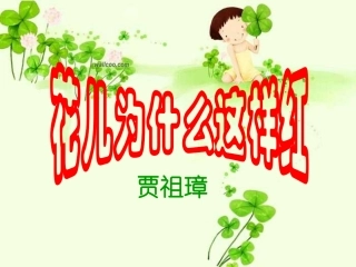 14.花儿为什么这样红