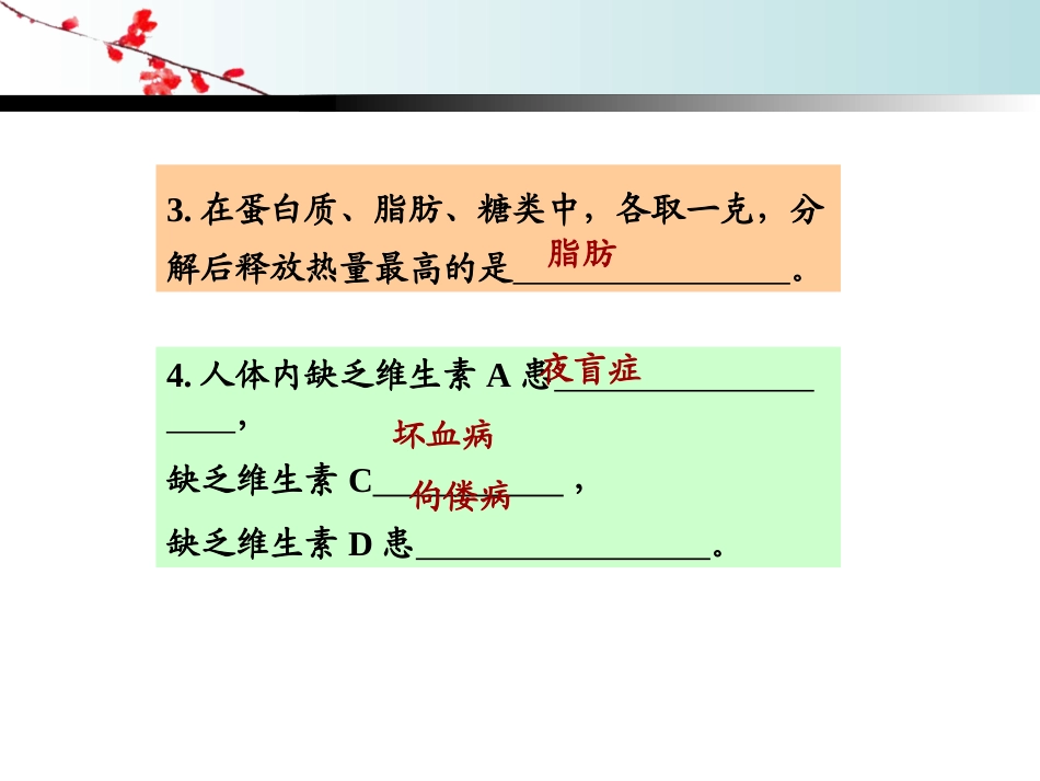 《消化和吸收》教学课件1_第2页