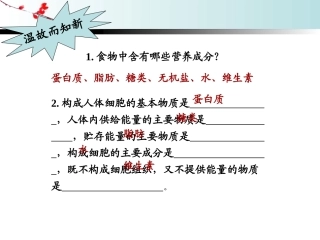 《消化和吸收》教学课件1