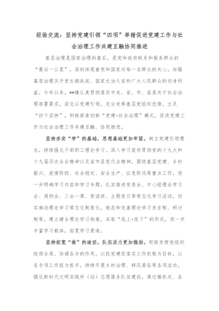 经验交流：坚持党建引领“四项”举措促进党建工作与社会治理工作共建互融协同推进