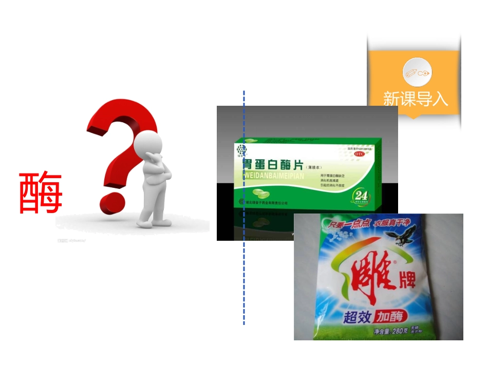 酶与酶促反应-(4)_第1页