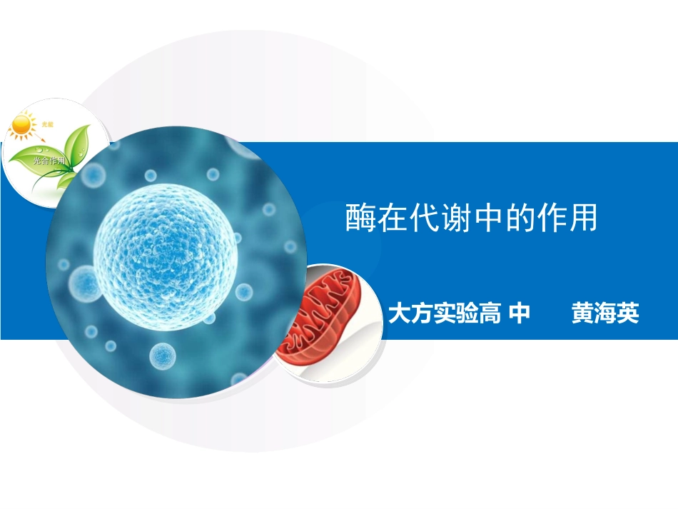 酶与酶促反应-(4)_第2页