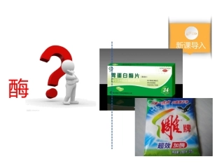 酶与酶促反应-(4)