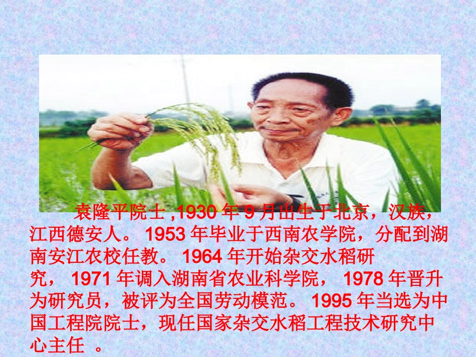 袁隆平访谈录_第3页