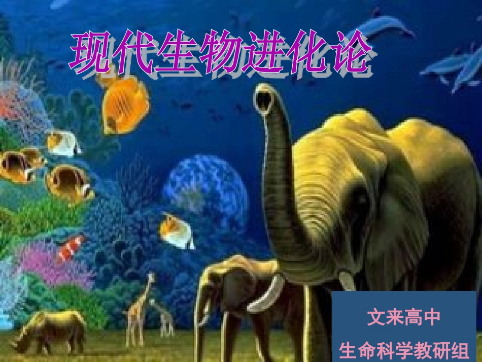 现代进化理论、灭绝-(2)_第1页