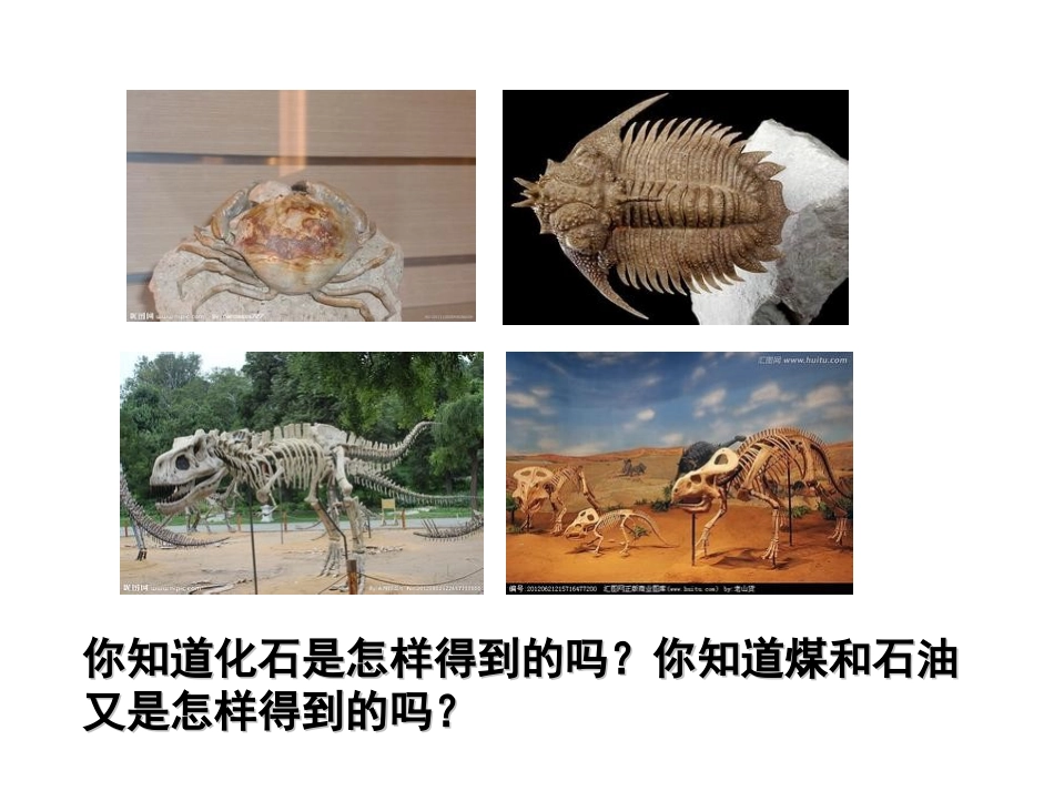 课题2燃料和热量_第2页