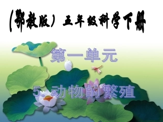 5动物的繁殖