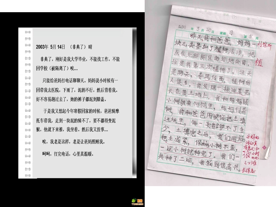 培养良好的学习习惯8_第2页