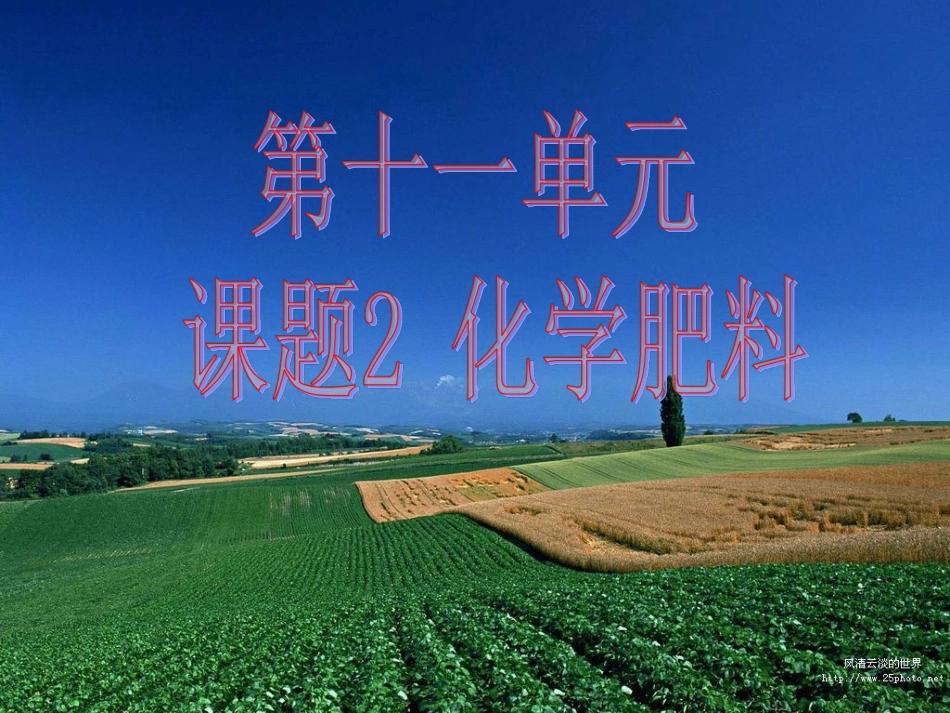 课题2-化学肥料_第2页