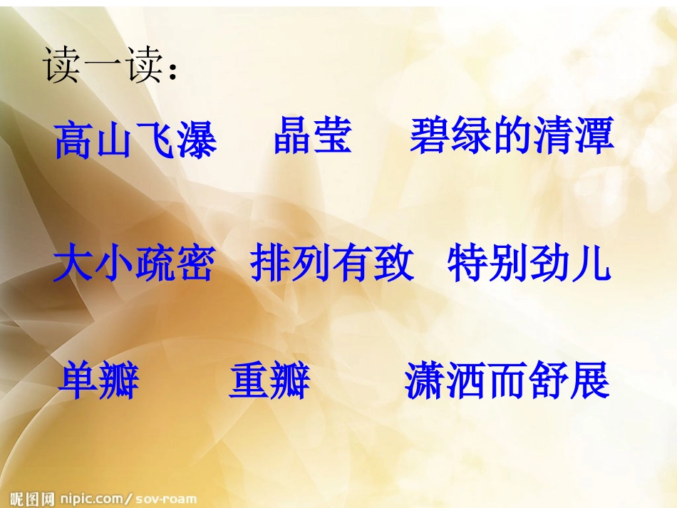 《山茶花》PPT_第3页