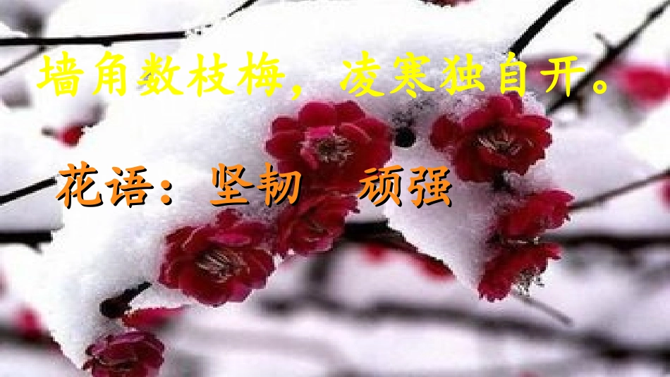 (部编)初中语文人教2011课标版七年级下册17-紫藤萝瀑布-(4)_第2页