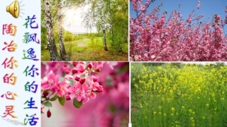 (部编)初中语文人教2011课标版七年级下册17-紫藤萝瀑布-(4)