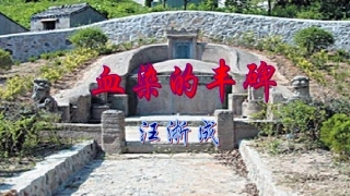 一九血染的丰碑