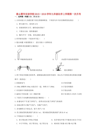 山东省泰安市岱岳区泰山菁华双语学校九年级化学上学期第一次月考试卷试卷
