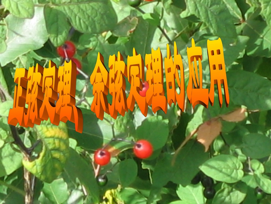 正弦定理、余弦定理的应用_第1页