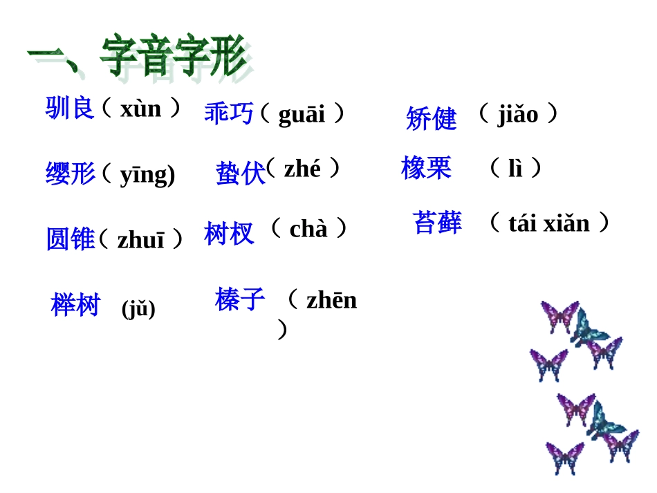 《松鼠》预习交流_第2页