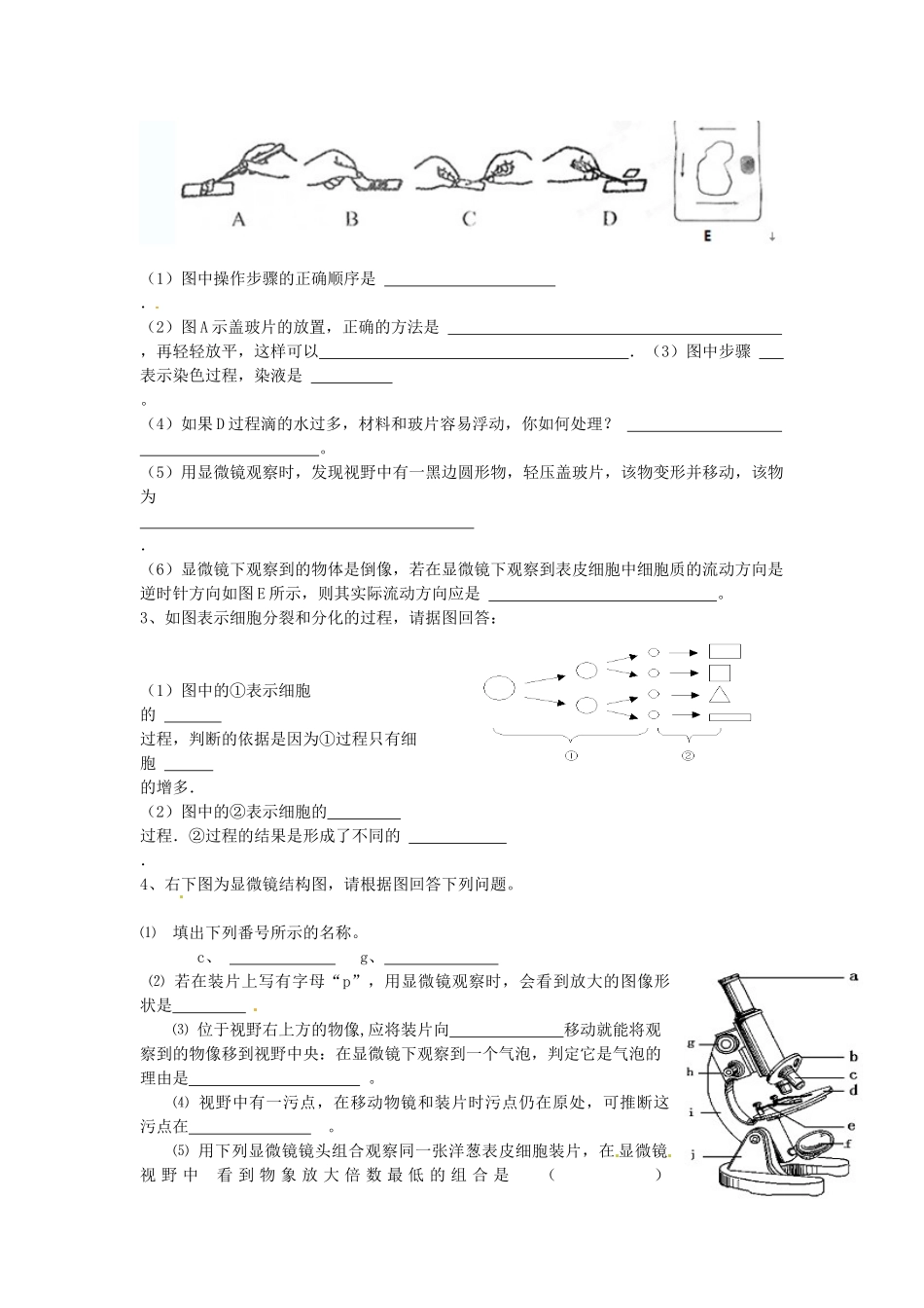 山东省武城县九年级生物9月月考试卷 新人教版试卷_第3页