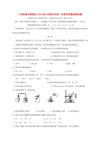 九年级化学第一次教学质量检测试卷