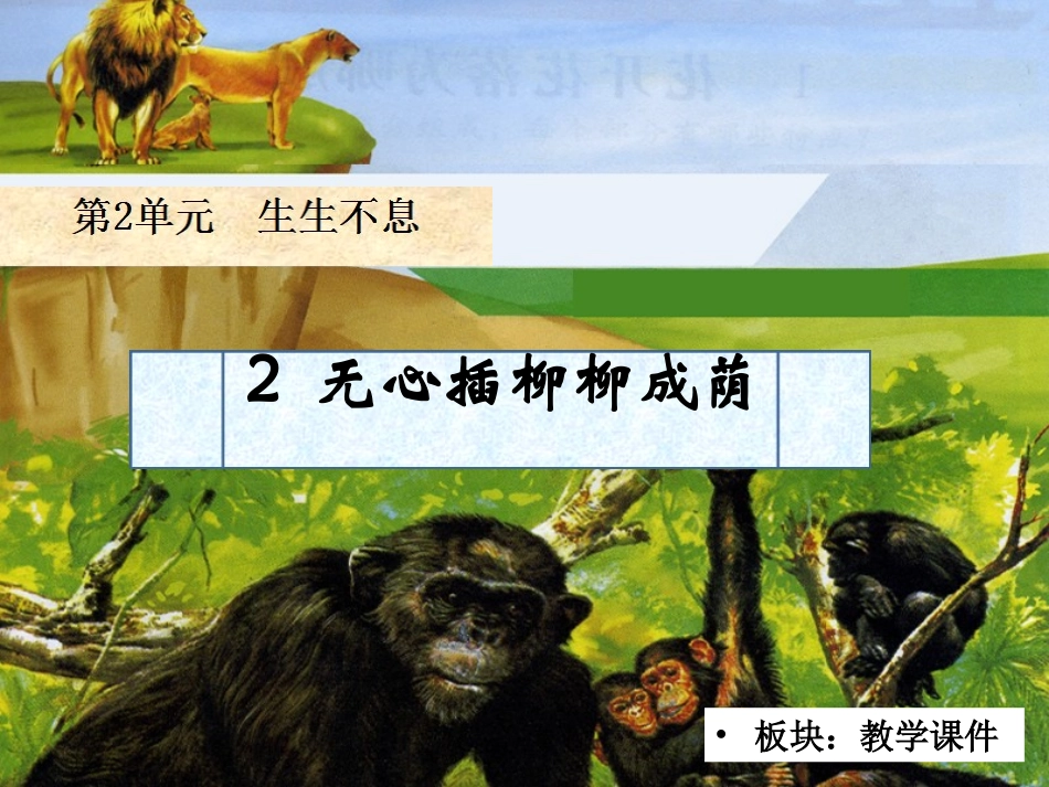 2无心插柳柳成荫_第2页