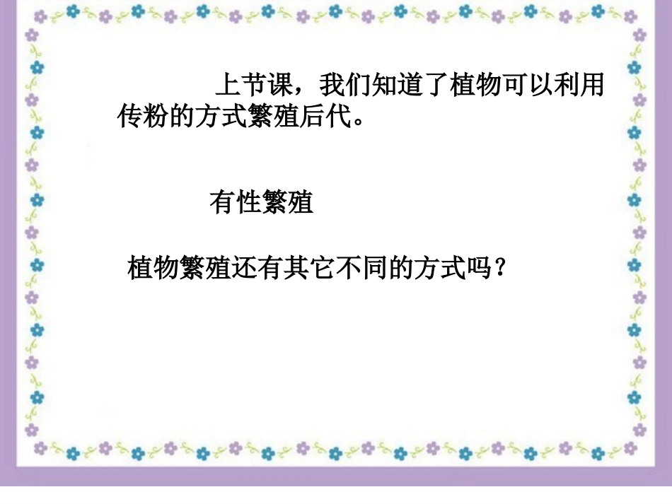 2无心插柳柳成荫_第3页